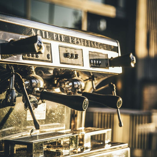 Pro 2-Group Commercial Espresso Machine